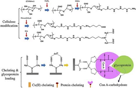 clip_image002.jpg https://ars.els-cdn.com/content/image/1-s2.0-S0021967318303212-gr1_lrg.jpg